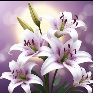 Meet your Posher, Lex